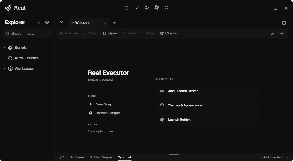 Real interface screenshot