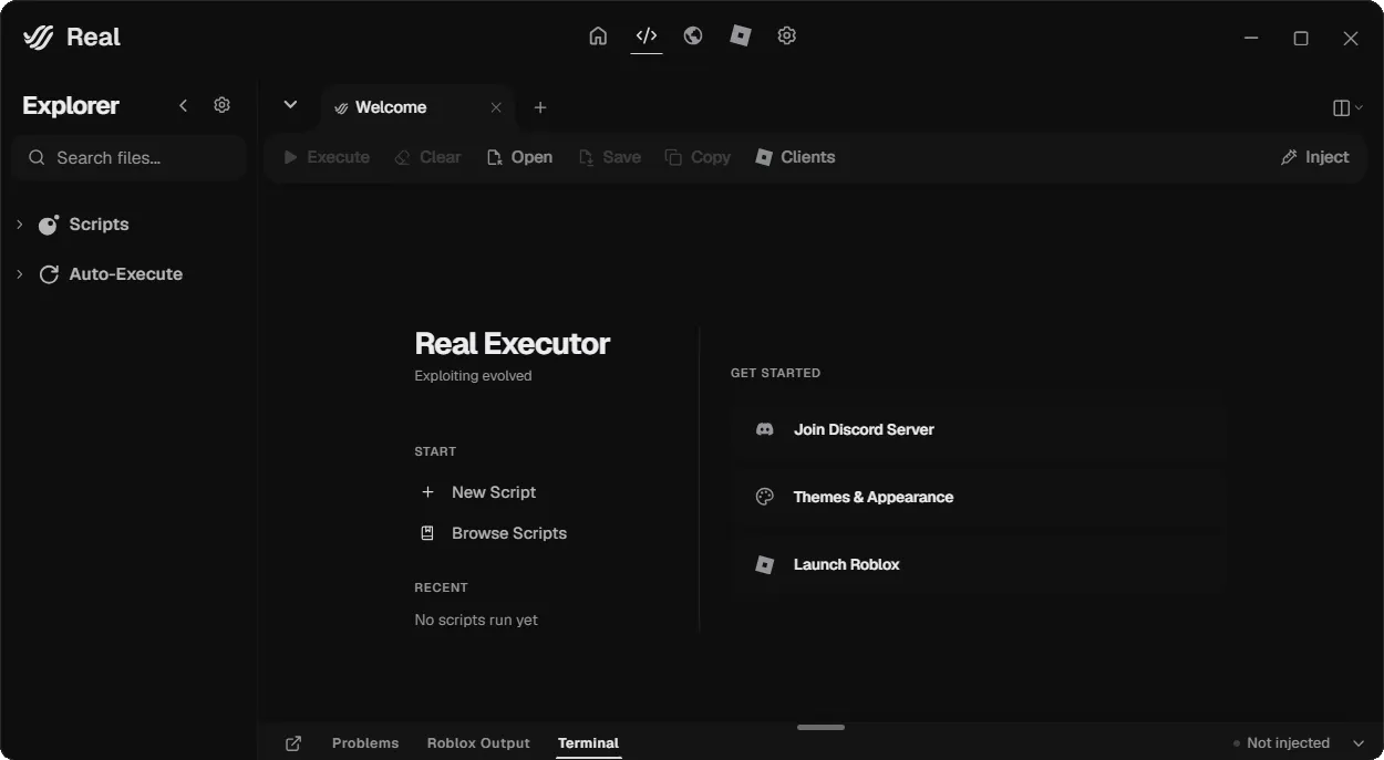 Real interface screenshot